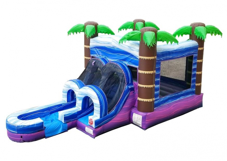 Tropical Bounce House and Water Slide